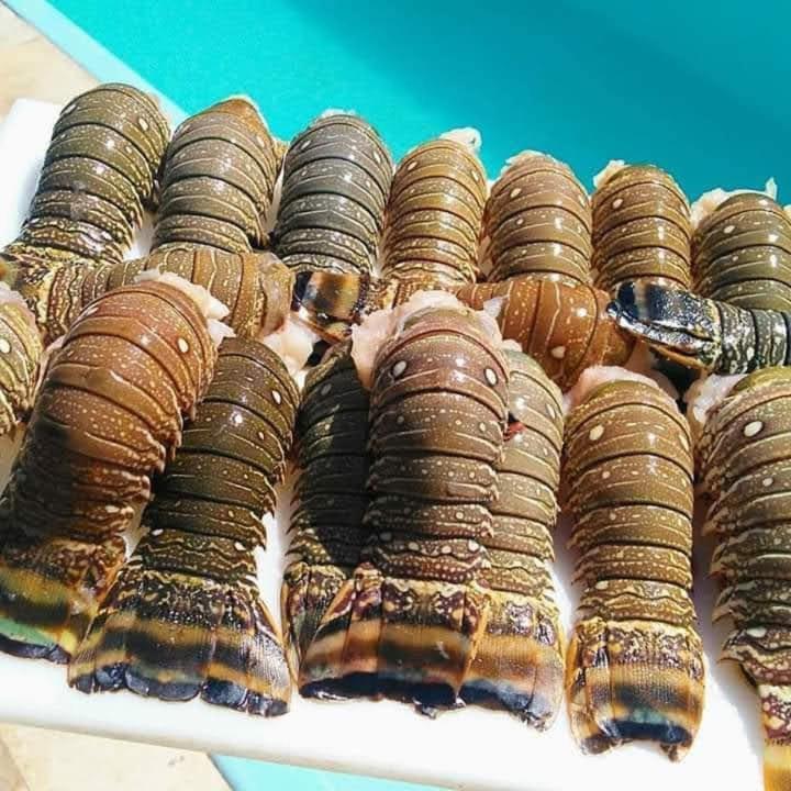 Pousada A Vida E Bela Águas Belas Eksteriør bilde